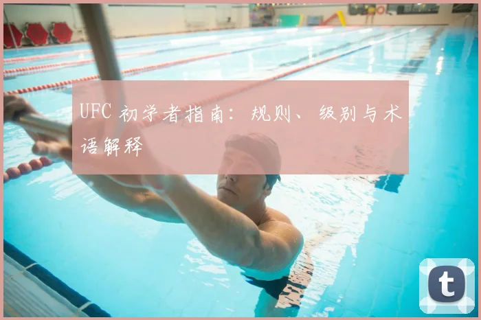 UFC 初学者指南:规则、级别与术语解释