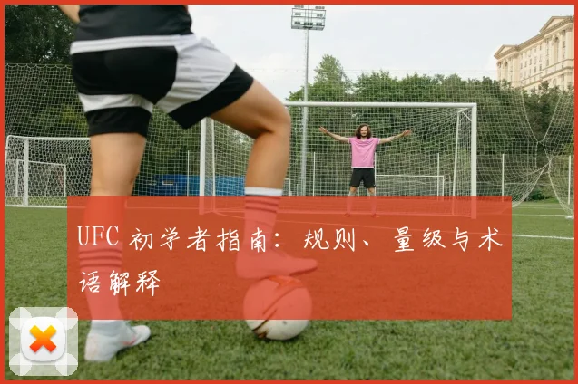 UFC 初学者指南:规则、量级与术语解释