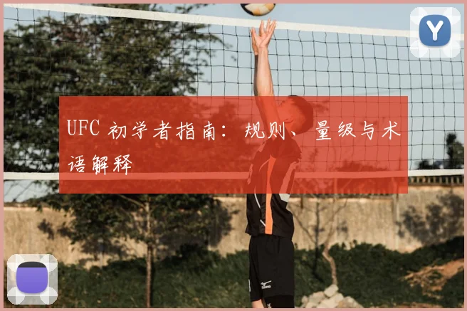UFC 初学者指南:规则、量级与术语解释