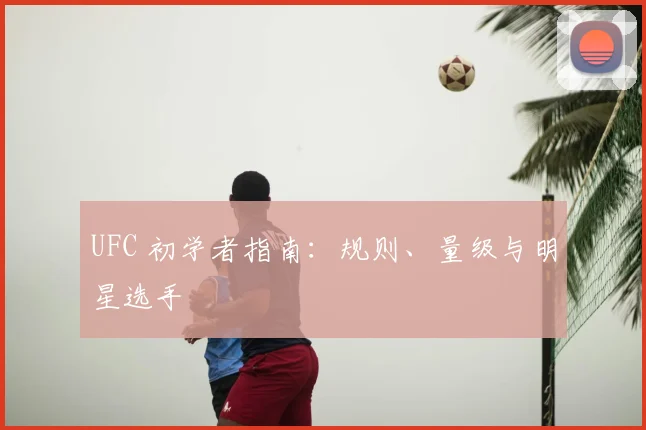 UFC 初学者指南:规则、量级与明星选手