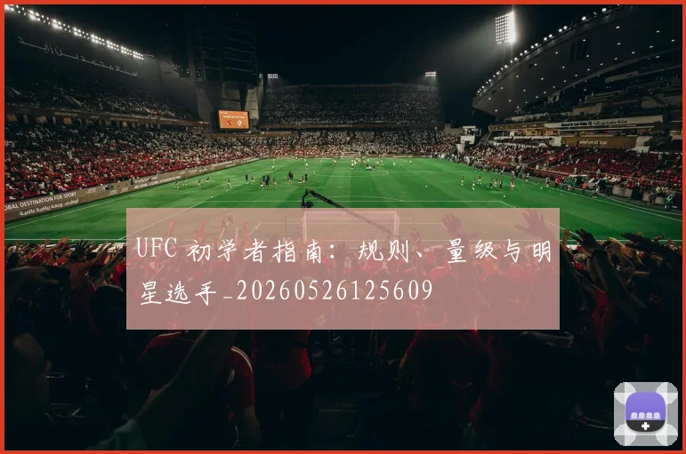 UFC 初学者指南:规则、量级与明星选手_20260526125609