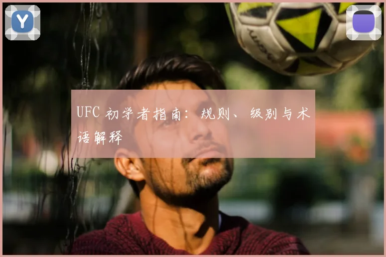 UFC 初学者指南:规则、级别与术语解释
