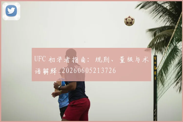 UFC 初学者指南:规则、量级与术语解释_20260605213726